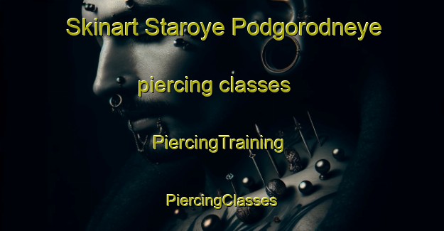 Skinart Staroye Podgorodneye piercing classes | #PiercingTraining #PiercingClasses #SkinartTraining-Russia