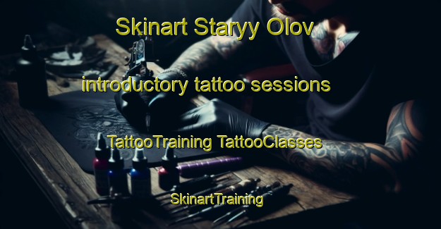 Skinart Staryy Olov introductory tattoo sessions | #TattooTraining #TattooClasses #SkinartTraining-Russia