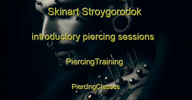 Skinart Stroygorodok introductory piercing sessions | #PiercingTraining #PiercingClasses #SkinartTraining-Russia