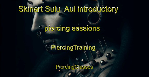 Skinart Sulu  Aul introductory piercing sessions | #PiercingTraining #PiercingClasses #SkinartTraining-Russia