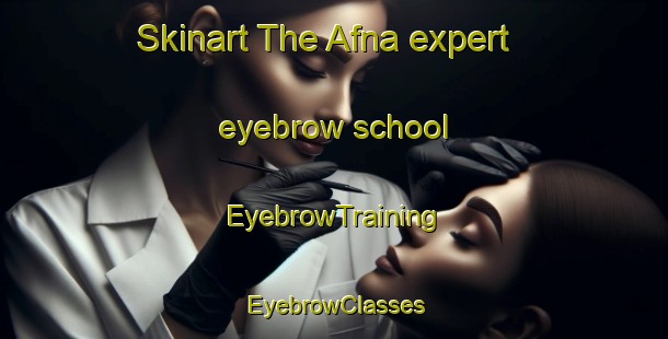 Skinart The Afna expert eyebrow school | EyebrowTraining | EyebrowClasses | SkinartTraining-Russia