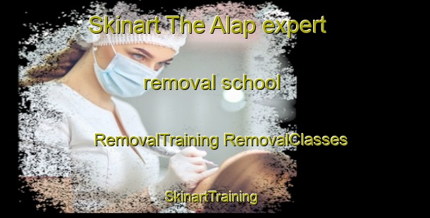 Skinart The Alap expert removal school | #RemovalTraining #RemovalClasses #SkinartTraining-Russia