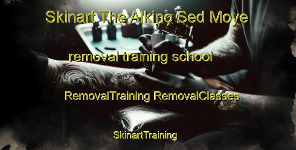 Skinart The Alkino Sed Moye removal training school | #RemovalTraining #RemovalClasses #SkinartTraining-Russia