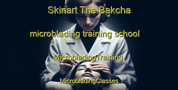 Skinart The Bakcha microblading training school | #MicrobladingTraining #MicrobladingClasses #SkinartTraining-Russia