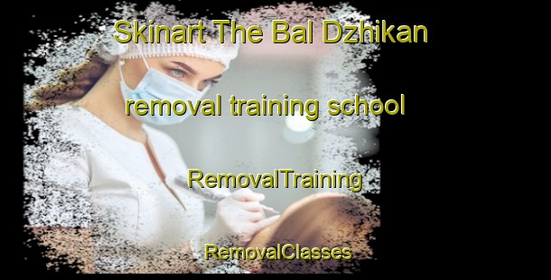 Skinart The Bal Dzhikan removal training school | RemovalTraining | RemovalClasses | SkinartTraining-Russia