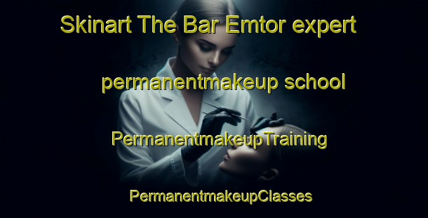 Skinart The Bar Emtor expert permanentmakeup school | PermanentmakeupTraining | PermanentmakeupClasses | SkinartTraining-Russia