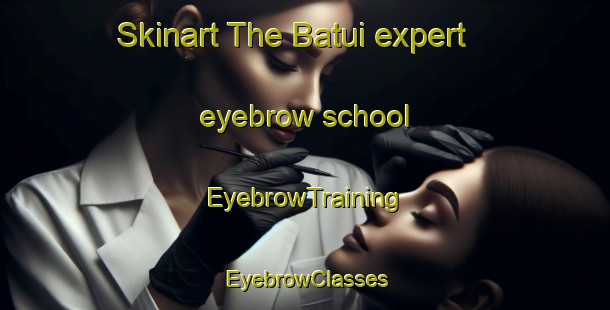 Skinart The Batui expert eyebrow school | EyebrowTraining | EyebrowClasses | SkinartTraining-Russia