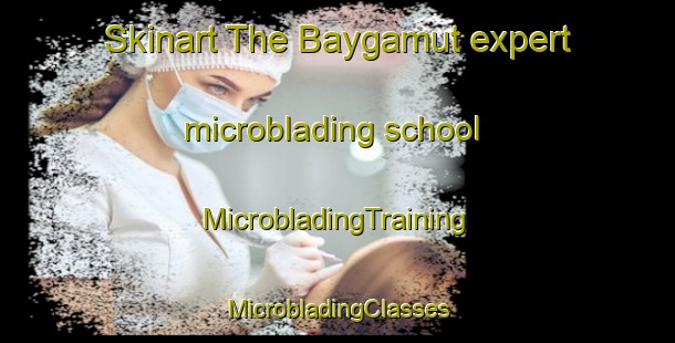 Skinart The Baygamut expert microblading school | #MicrobladingTraining #MicrobladingClasses #SkinartTraining-Russia