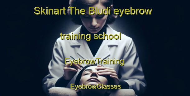 Skinart The Bludi eyebrow training school | EyebrowTraining | EyebrowClasses | SkinartTraining-Russia