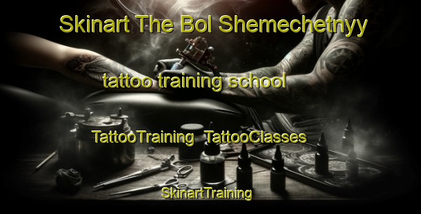 Skinart The Bol Shemechetnyy tattoo training school | TattooTraining | TattooClasses | SkinartTraining-Russia