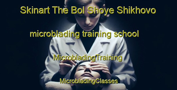 Skinart The Bol Shoye Shikhovo microblading training school | #MicrobladingTraining #MicrobladingClasses #SkinartTraining-Russia