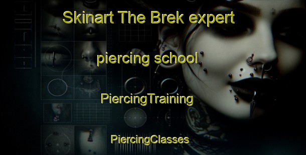 Skinart The Brek expert piercing school | PiercingTraining | PiercingClasses | SkinartTraining-Russia