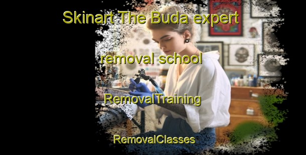 Skinart The Buda expert removal school | RemovalTraining | RemovalClasses | SkinartTraining-Russia