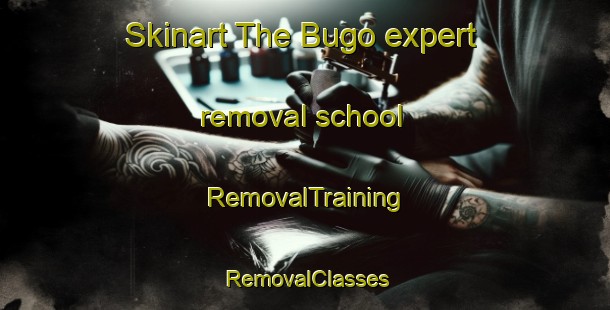 Skinart The Bugo expert removal school | RemovalTraining | RemovalClasses | SkinartTraining-Russia