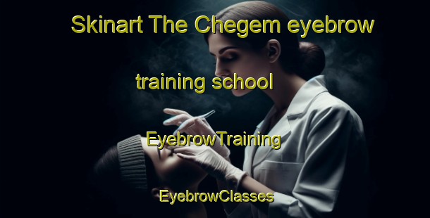 Skinart The Chegem eyebrow training school | EyebrowTraining | EyebrowClasses | SkinartTraining-Russia