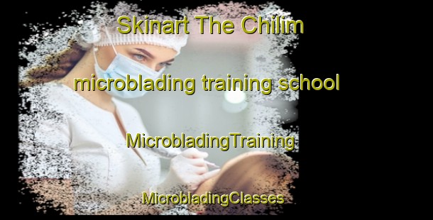 Skinart The Chilim microblading training school | MicrobladingTraining | MicrobladingClasses | SkinartTraining-Russia
