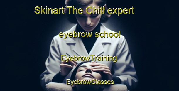 Skinart The Chitl expert eyebrow school | EyebrowTraining | EyebrowClasses | SkinartTraining-Russia