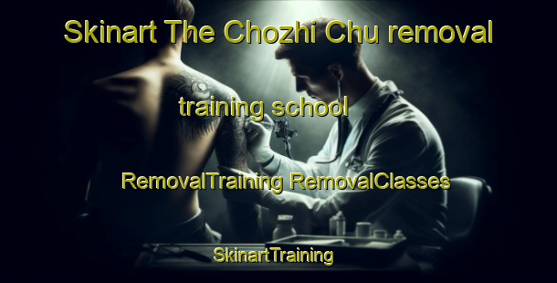 Skinart The Chozhi Chu removal training school | #RemovalTraining #RemovalClasses #SkinartTraining-Russia