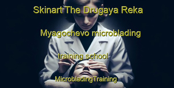 Skinart The Drugaya Reka Myagochevo microblading training school | #MicrobladingTraining #MicrobladingClasses #SkinartTraining-Russia