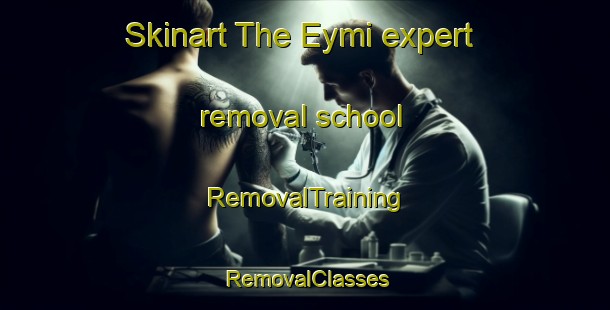 Skinart The Eymi expert removal school | RemovalTraining | RemovalClasses | SkinartTraining-Russia