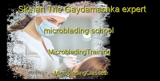 Skinart The Gaydamachka expert microblading school | #MicrobladingTraining #MicrobladingClasses #SkinartTraining-Russia