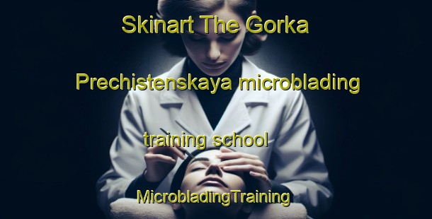 Skinart The Gorka Prechistenskaya microblading training school | #MicrobladingTraining #MicrobladingClasses #SkinartTraining-Russia