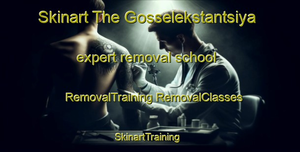 Skinart The Gosselekstantsiya expert removal school | #RemovalTraining #RemovalClasses #SkinartTraining-Russia