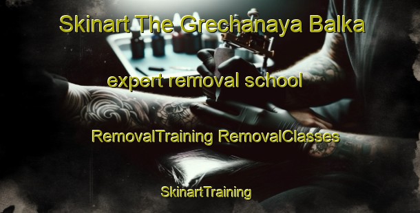 Skinart The Grechanaya Balka expert removal school | #RemovalTraining #RemovalClasses #SkinartTraining-Russia