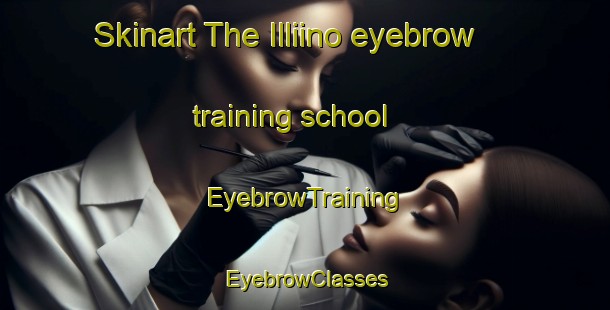 Skinart The Illiino eyebrow training school | EyebrowTraining | EyebrowClasses | SkinartTraining-Russia