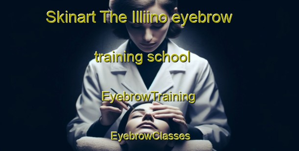 Skinart The Illiino eyebrow training school | EyebrowTraining | EyebrowClasses | SkinartTraining-Russia