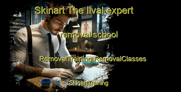 Skinart The Ilval expert removal school | #RemovalTraining #RemovalClasses #SkinartTraining-Russia