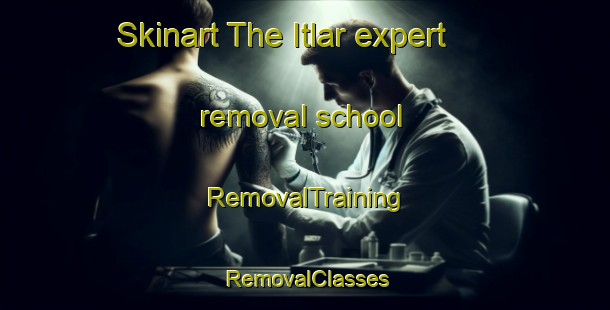Skinart The Itlar expert removal school | RemovalTraining | RemovalClasses | SkinartTraining-Russia