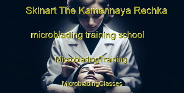 Skinart The Kamennaya Rechka microblading training school | #MicrobladingTraining #MicrobladingClasses #SkinartTraining-Russia