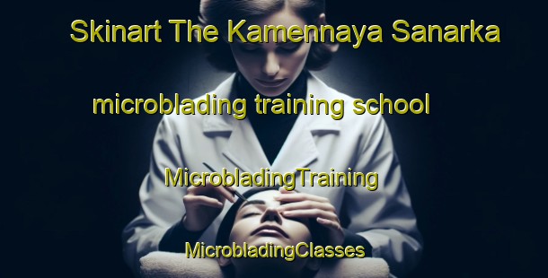 Skinart The Kamennaya Sanarka microblading training school | #MicrobladingTraining #MicrobladingClasses #SkinartTraining-Russia