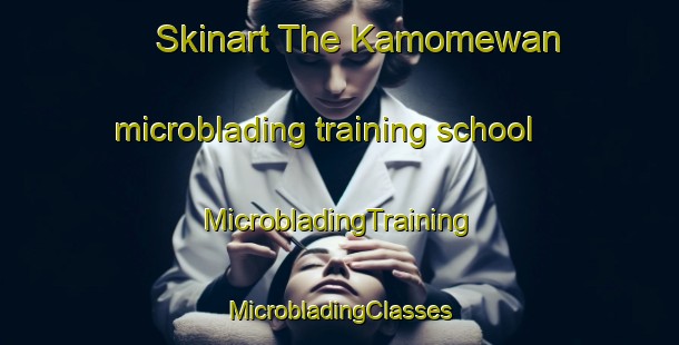 Skinart The Kamomewan microblading training school | #MicrobladingTraining #MicrobladingClasses #SkinartTraining-Russia