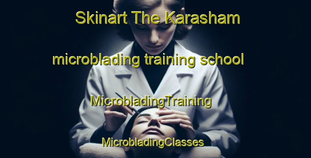 Skinart The Karasham microblading training school | MicrobladingTraining | MicrobladingClasses | SkinartTraining-Russia