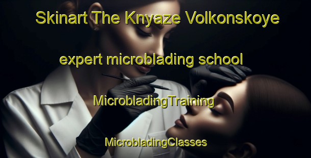 Skinart The Knyaze Volkonskoye expert microblading school | #MicrobladingTraining #MicrobladingClasses #SkinartTraining-Russia