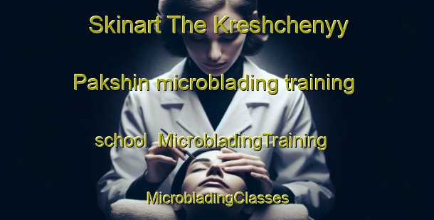 Skinart The Kreshchenyy Pakshin microblading training school | #MicrobladingTraining #MicrobladingClasses #SkinartTraining-Russia