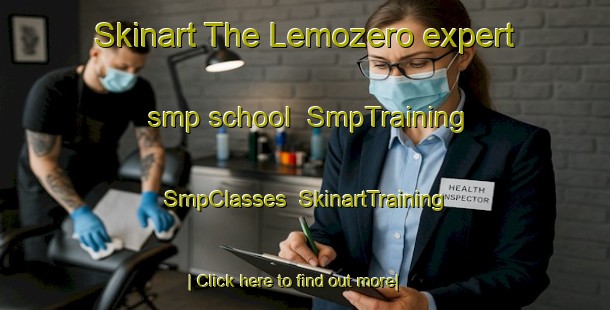 Skinart The Lemozero expert smp school | SmpTraining | SmpClasses | SkinartTraining-Russia