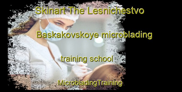 Skinart The Lesnichestvo Baskakovskoye microblading training school | #MicrobladingTraining #MicrobladingClasses #SkinartTraining-Russia