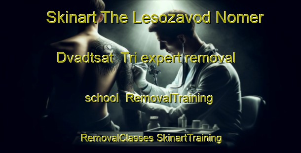 Skinart The Lesozavod Nomer Dvadtsat  Tri expert removal school | #RemovalTraining #RemovalClasses #SkinartTraining-Russia