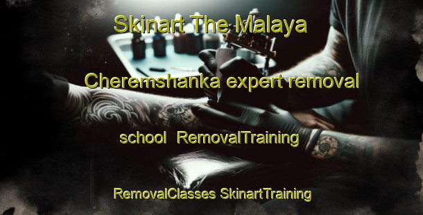 Skinart The Malaya Cheremshanka expert removal school | #RemovalTraining #RemovalClasses #SkinartTraining-Russia