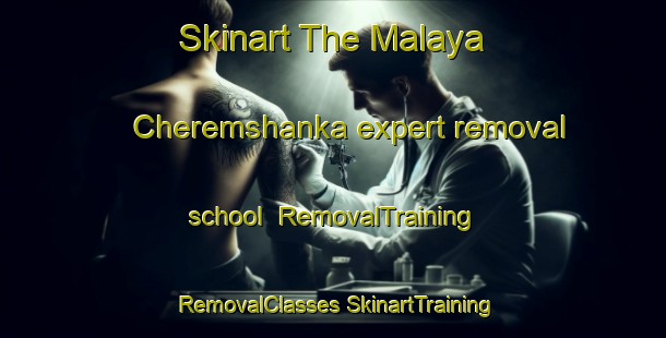 Skinart The Malaya Cheremshanka expert removal school | #RemovalTraining #RemovalClasses #SkinartTraining-Russia