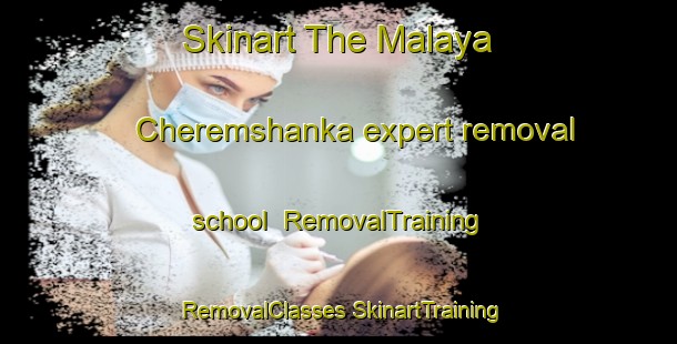 Skinart The Malaya Cheremshanka expert removal school | #RemovalTraining #RemovalClasses #SkinartTraining-Russia