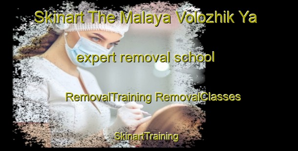 Skinart The Malaya Volozhik Ya expert removal school | #RemovalTraining #RemovalClasses #SkinartTraining-Russia