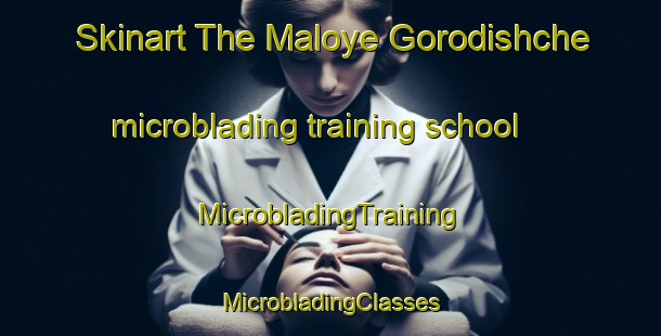 Skinart The Maloye Gorodishche microblading training school | #MicrobladingTraining #MicrobladingClasses #SkinartTraining-Russia