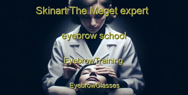 Skinart The Meget expert eyebrow school | EyebrowTraining | EyebrowClasses | SkinartTraining-Russia
