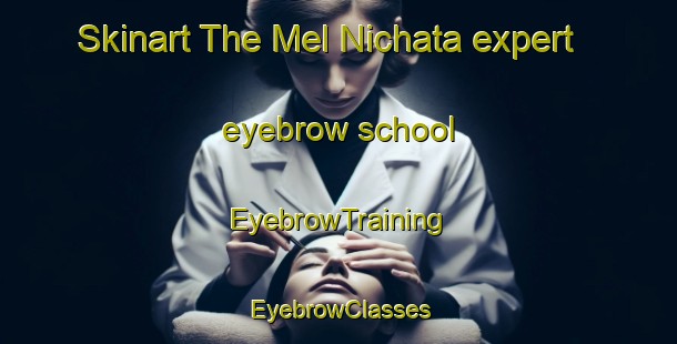 Skinart The Mel Nichata expert eyebrow school | EyebrowTraining | EyebrowClasses | SkinartTraining-Russia