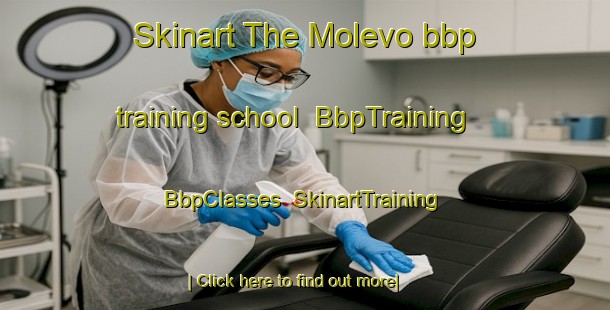 Skinart The Molevo bbp training school | BbpTraining | BbpClasses | SkinartTraining-Russia