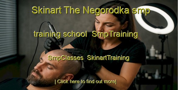 Skinart The Negorodka smp training school | SmpTraining | SmpClasses | SkinartTraining-Russia